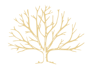 Greenliving-Coaching Logo · Baum